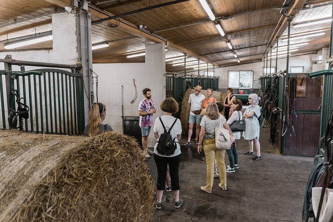 Vienna Horse-drawn Carriage Guided Tour - What the $39.16 price really buys you