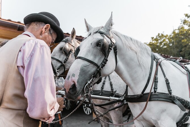 Vienna Horse-drawn Carriage Guided Tour - A good choice for families and horse lovers