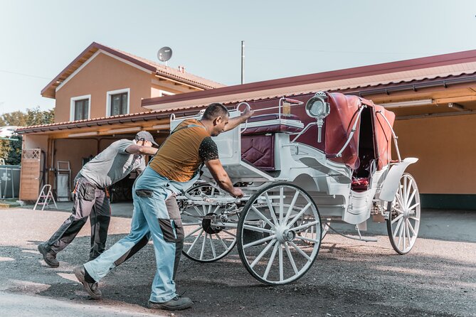 Vienna Horse-drawn Carriage Guided Tour - What you should bring and expect