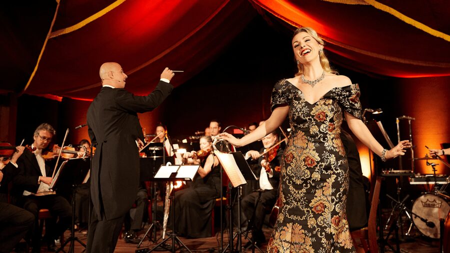 Vienna: Johann Strauss Dinner Show at the Prater - A Strauss evening with more than just waltzes