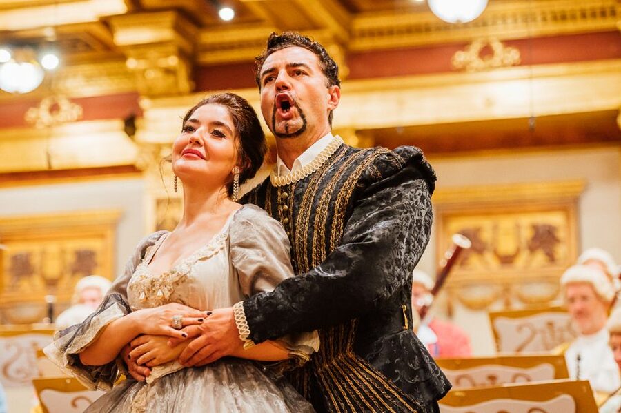 Vienna: Mozart Concert and Austrian Delights Dinner - Walking 400 meters to Musikverein
