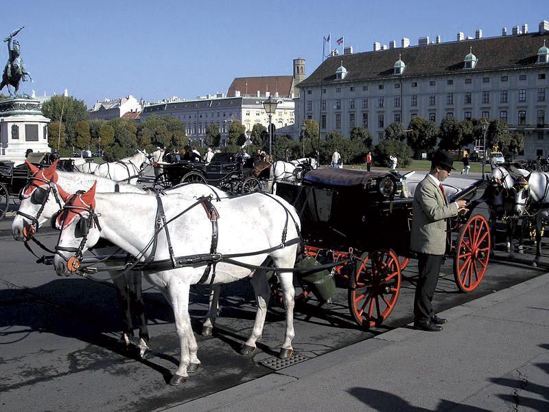 Vienna: Mozart Concert with Dinner and Carriage Ride - Choosing between Vienna’s concert venues