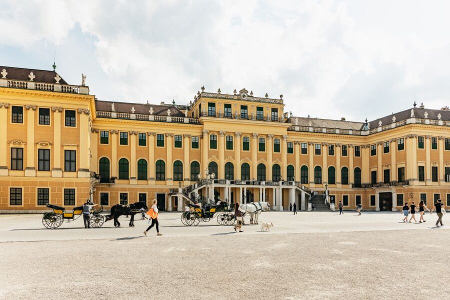 Vienna: Panorama Train Tickets to explore Schönbrunn Palace - Accessibility and Family Practicalities