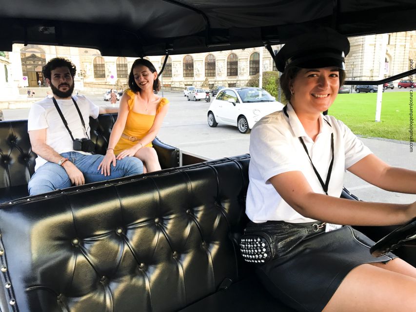 Vienna: Private Electric Car Sightseeing Tour - Price and value for a private group of six