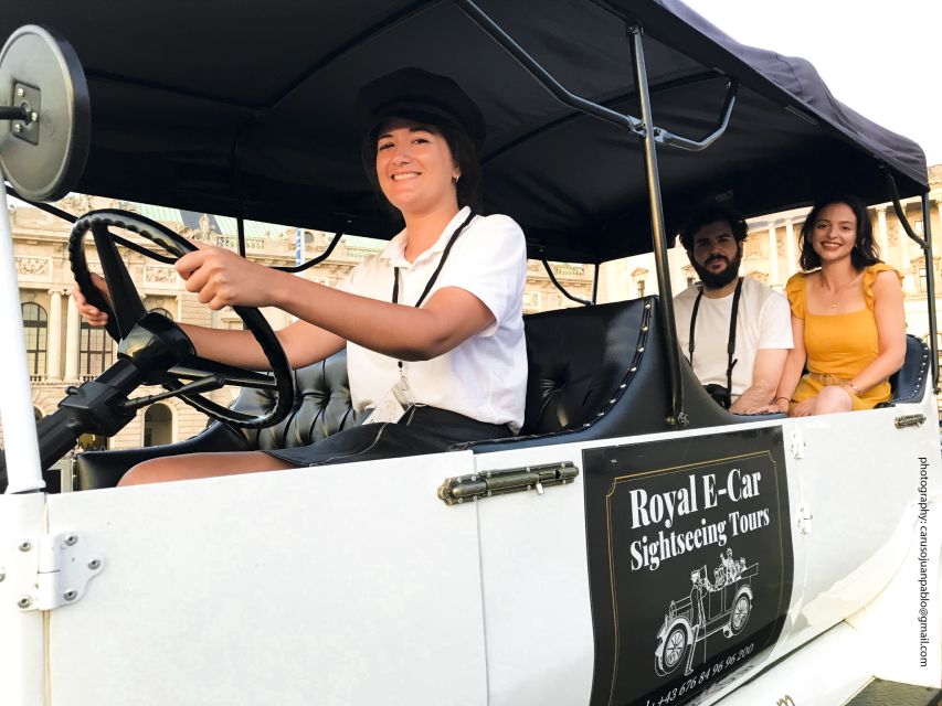 Vienna: Private Electric Car Sightseeing Tour - Starting at Café Mozart near the Albertina