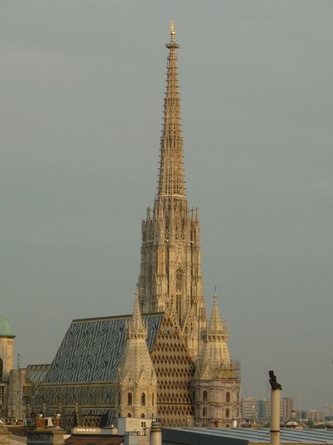 Vienna: Private Guided Walking Tour - Michaelerplatz and the Spanish Riding School