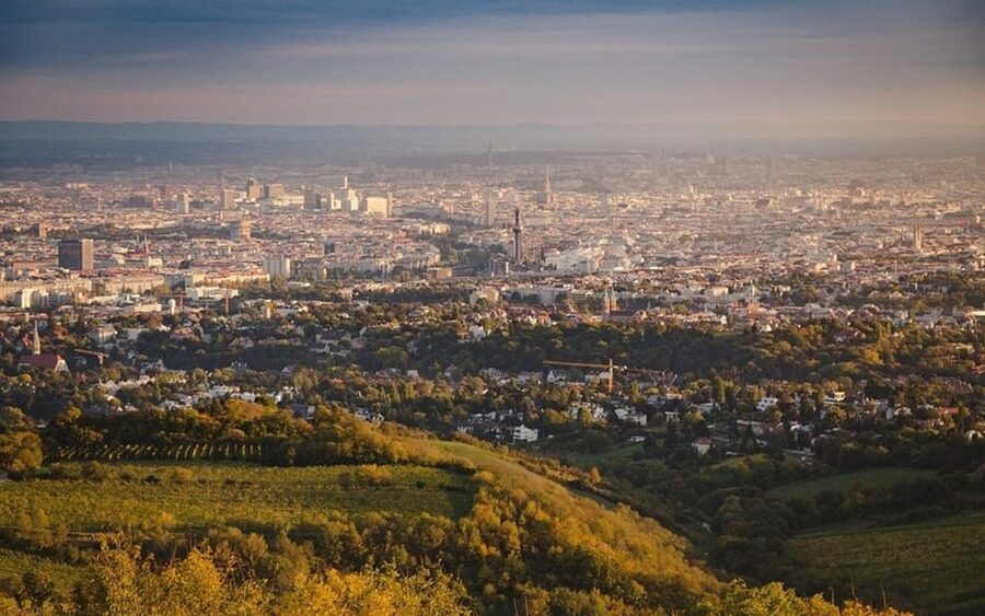 Vienna: Private Half-Day Sightseeing Tour - Kahlenberg and the Danube Tower