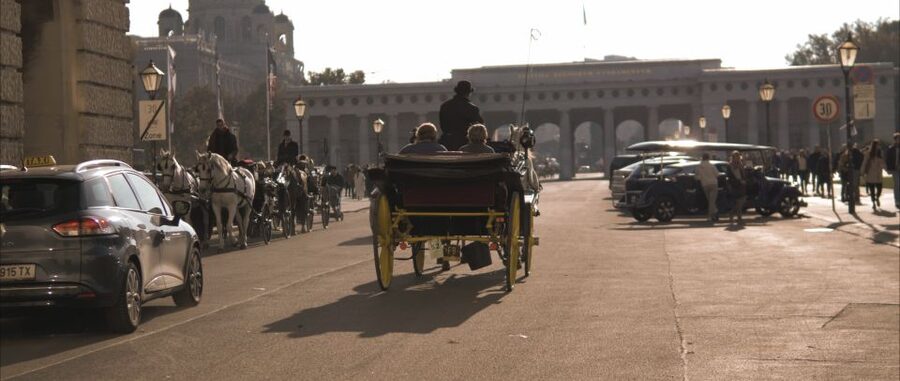 Vienna: Private Walking Tour to The Hofburg & Graben Street - Graben Street and the smaller passages