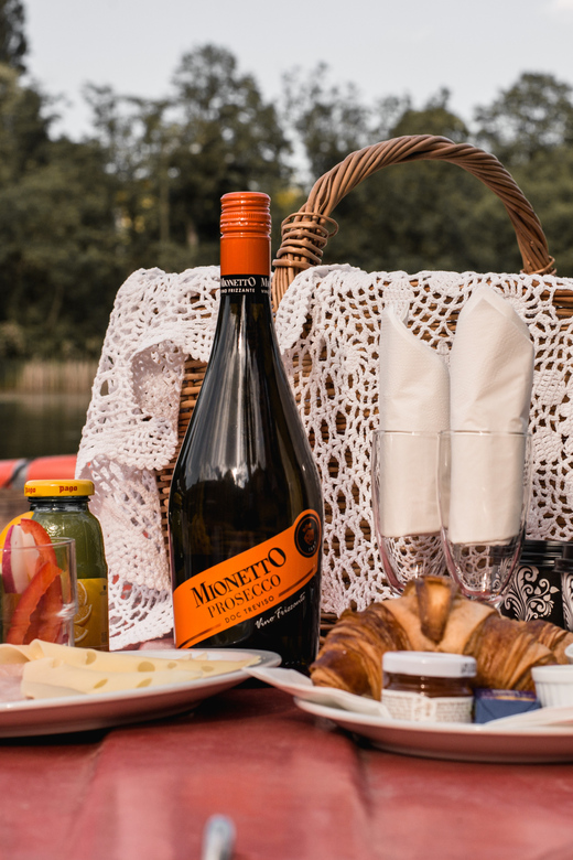 Vienna: Retro Boat Tour on the Danube River with Picnic - A different kind of Vienna boat trip