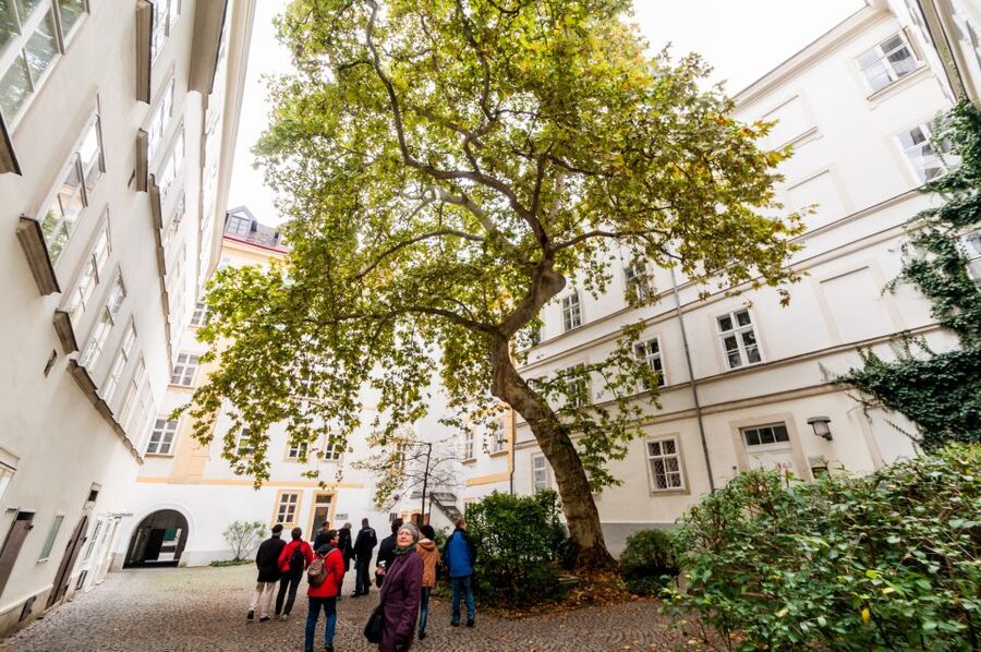 Vienna: Romantic Old Town 2-Hour Discovery Tour - Is $352 a sensible price?