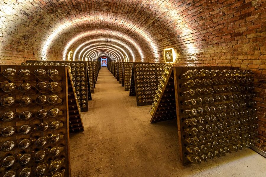 Vienna: Schlumberger Wine Cellar Guided or Self-Guided Tour - Entering Vienna’s Schlumberger cellar world