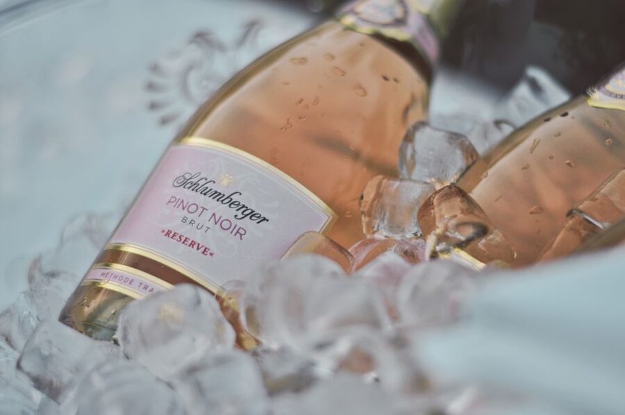 Vienna: Schlumberger Wine Cellar Guided or Self-Guided Tour - What to wear and who should visit