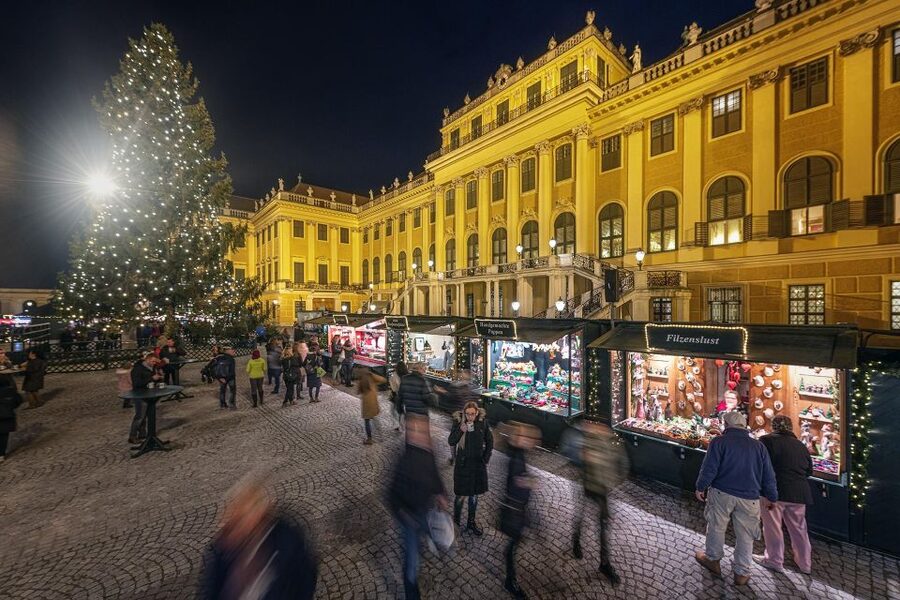 Vienna: Schönbrunn Palace & Christmas Market Walking Tour - The Palace Rooms and the Habsburg Story