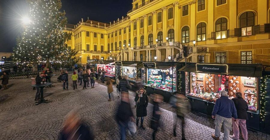 Vienna: Schönbrunn Palace & Christmas Market Walking Tour - The Christmas Market Beneath the Palace Lights