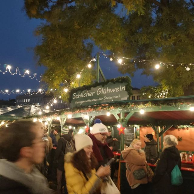 Vienna: Schönbrunn Palace & Christmas Market Walking Tour - Practical Tips for a Smooth Visit