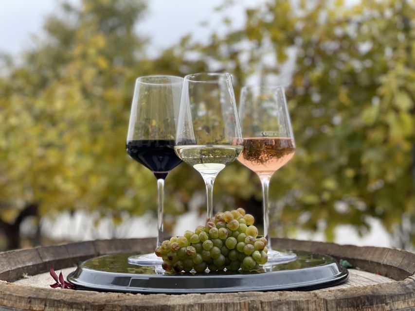 Vienna: Schönbrunn Palace Entry Ticket and Wine Tasting - Starting at Joseph II Restaurant