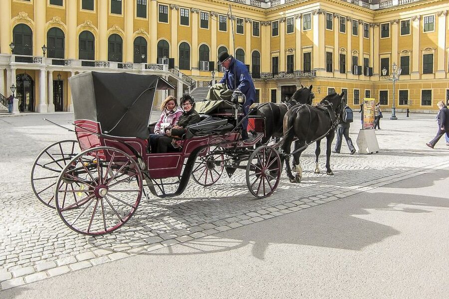 Vienna: Schönbrunn Palace & Gardens Skip-the-Line Tour - One hour in the Schönbrunn Gardens