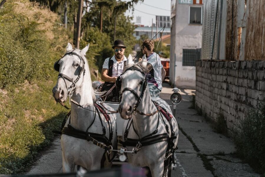Vienna: Secrets of the Fiaker & Horse-Drawn Carriage Ride - Should you book the Secrets of the Fiaker tour?