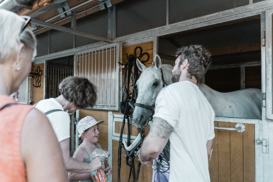 Vienna: Secrets of the Fiaker & Horse-Drawn Carriage Ride - The one-hour carriage ride toward central Vienna