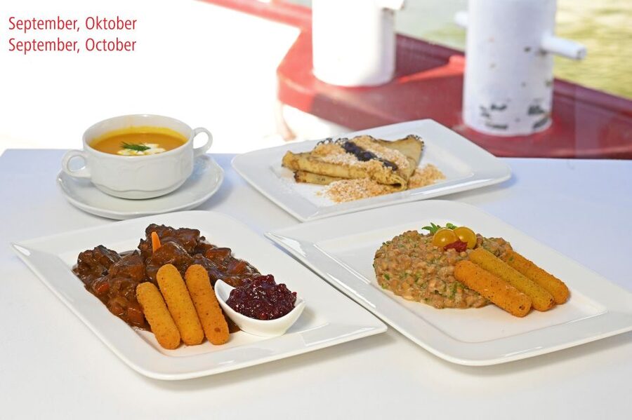Vienna: Sightseeing Boat Tour with Lunch - Comfort, seating, and service
