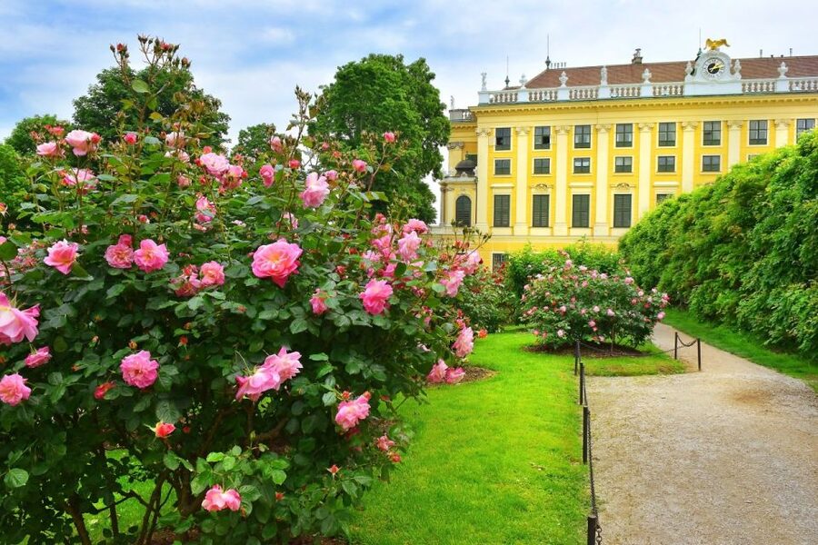 Vienna: Skip-the-Line Schonbrunn Palace Private Tour - What the private guide adds
