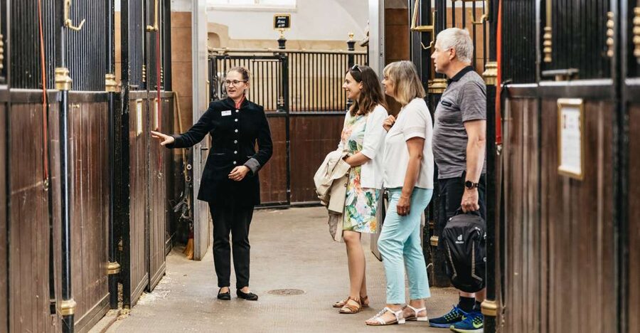 Vienna Spanish Riding School Guided Tour - The Winter Riding School and its Baroque setting