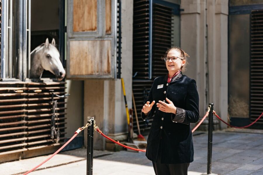 Vienna Spanish Riding School Guided Tour - What the guide adds to the 55 minutes