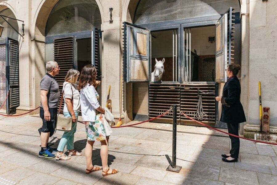 Vienna Spanish Riding School Guided Tour - Photography, access, and practical limits