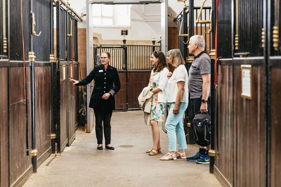 Vienna Spanish Riding School Guided Tour - The Stallburg stables and Lipizzaner stallions