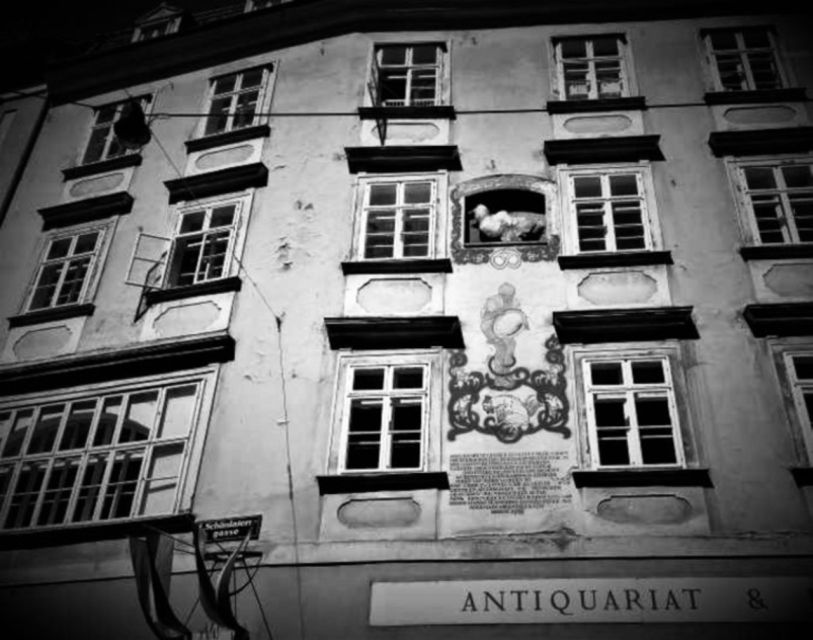 Vienna: Spooky Ghost Tour in English - The imperial center after dark