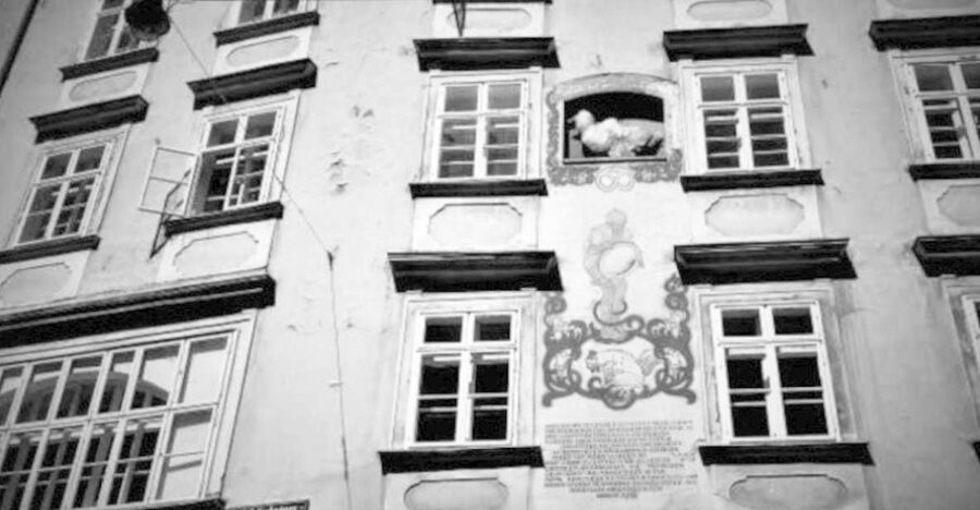 Vienna: Spooky Ghost Tour in English - Why the guide matters more than the ghosts