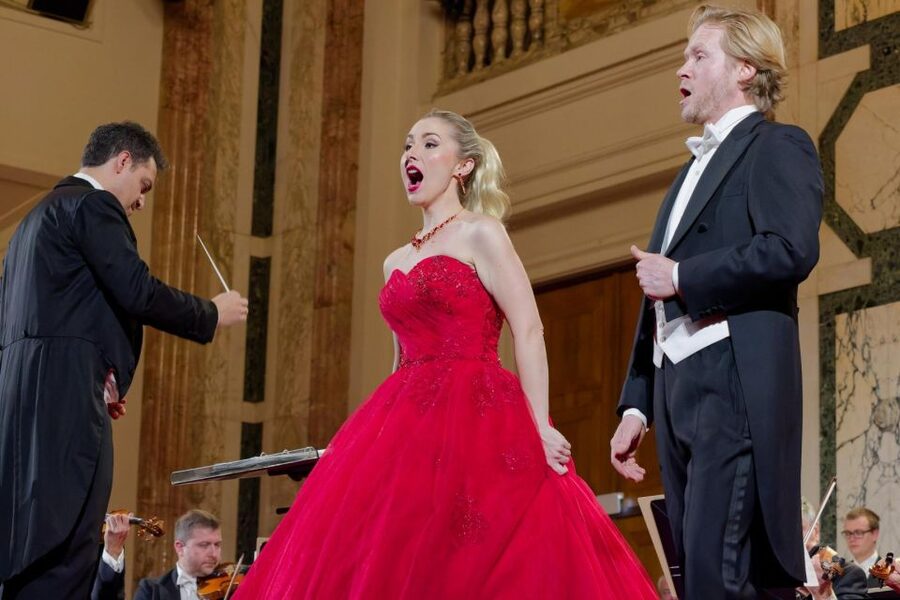 Vienna: Strauss and Mozart Concert at Hofburg Palace - Seating categories deserve careful attention