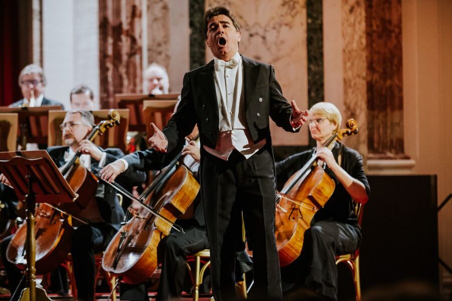 Vienna: Strauss and Mozart Concert at Hofburg Palace - Timing, language, and booking flexibility