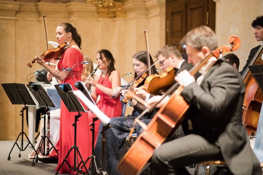 Vienna Supreme Orchestra at Palais Niederösterreich - Booking flexibility and small extras