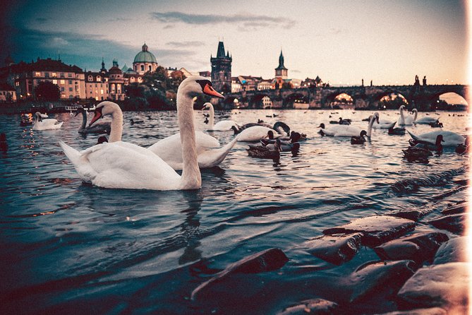 Vienna to Prague - Private Transfer with 2 hours of Sightseeing - Český Krumlov requires extra planning