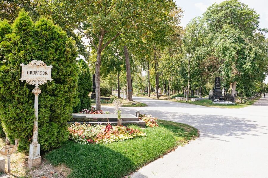 Vienna: Vienna Central Cemetery Guided Walking Tour - Comfort, access, and practical planning