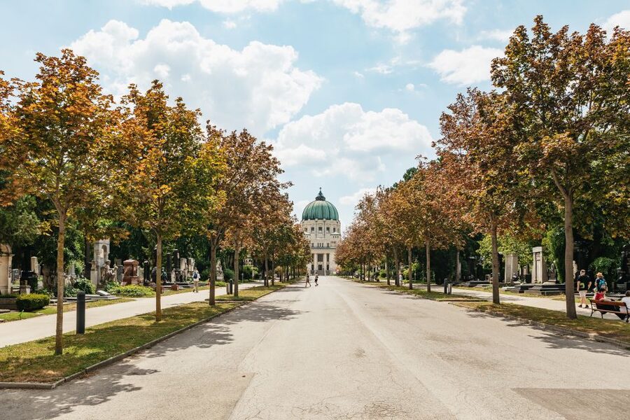 Vienna: Vienna Central Cemetery Guided Walking Tour - Luegerkirche and the visual side of the tour