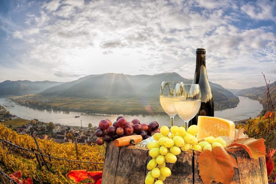 Vienna: Vienna Woods Tour with Underground Lake and Wine - FAQ