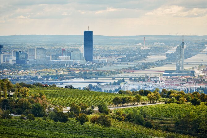 Vienna Wine Experience - Should you book the Vienna Wine Experience?