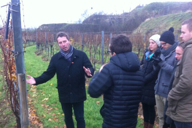 Vienna Wine Experience - Buschenschank, Heuriger, and the local way to drink