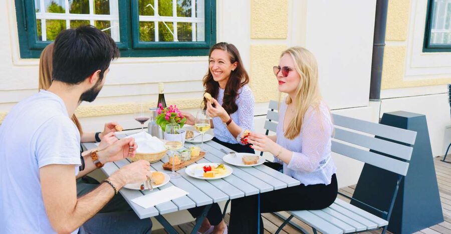Vienna: Wine Tasting at Schönbrunn Palace - Key points at a glance