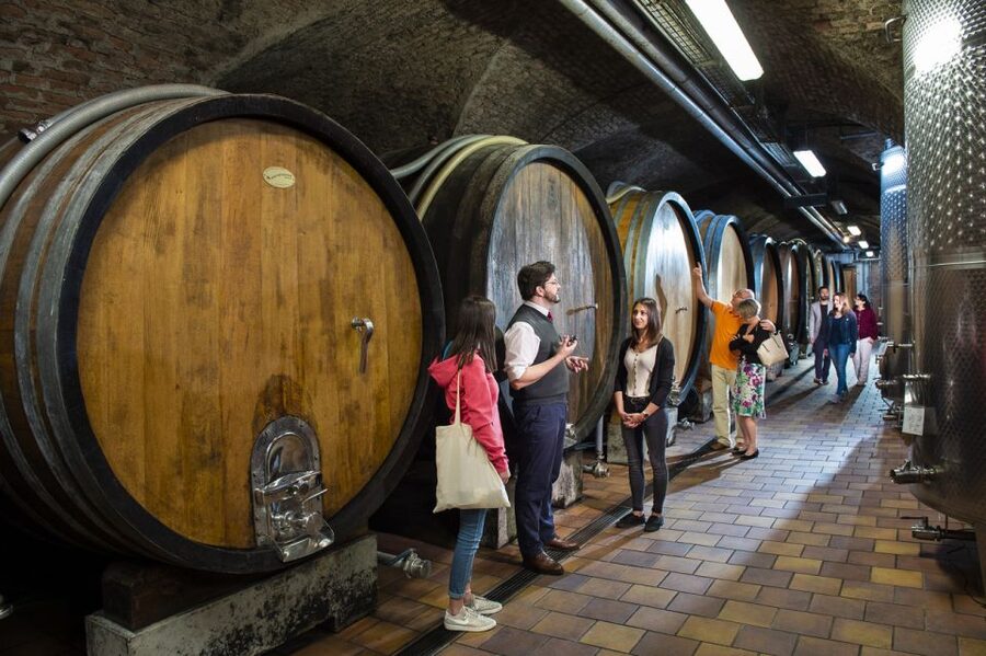 Vienna: Wine Tasting E-Bike Tour - Key points at a glance