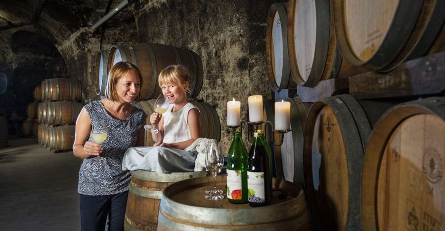 Vienna: Wine Tasting E-Bike Tour - From Vienna’s grand Ringstrasse to the Danube Canal