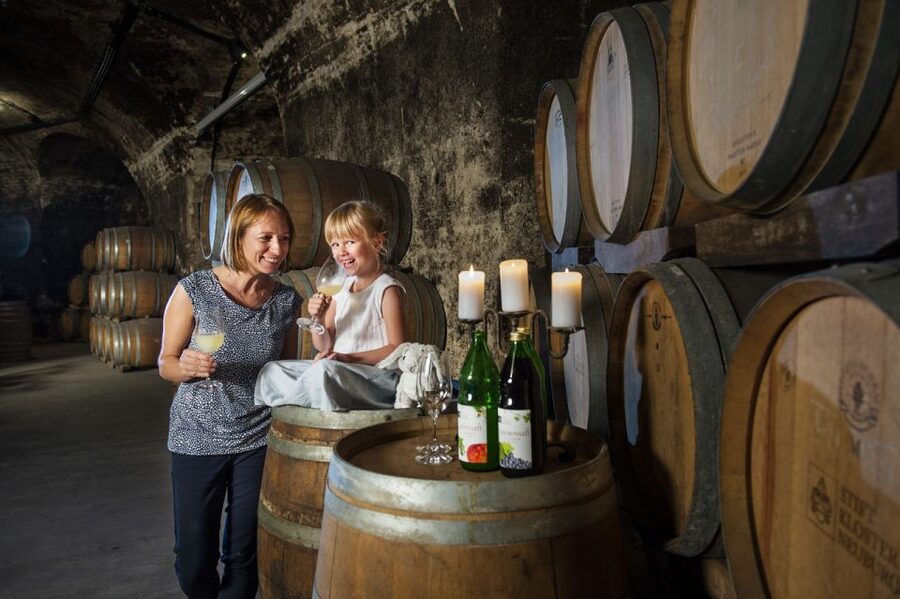 Vienna: Wine Tasting E-Bike Tour - Riding beside the Danube toward Klosterneuburg