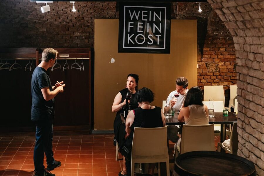 Vienna: Wine Tasting Experience in a Private Wine Cellar - Is $22 good value?
