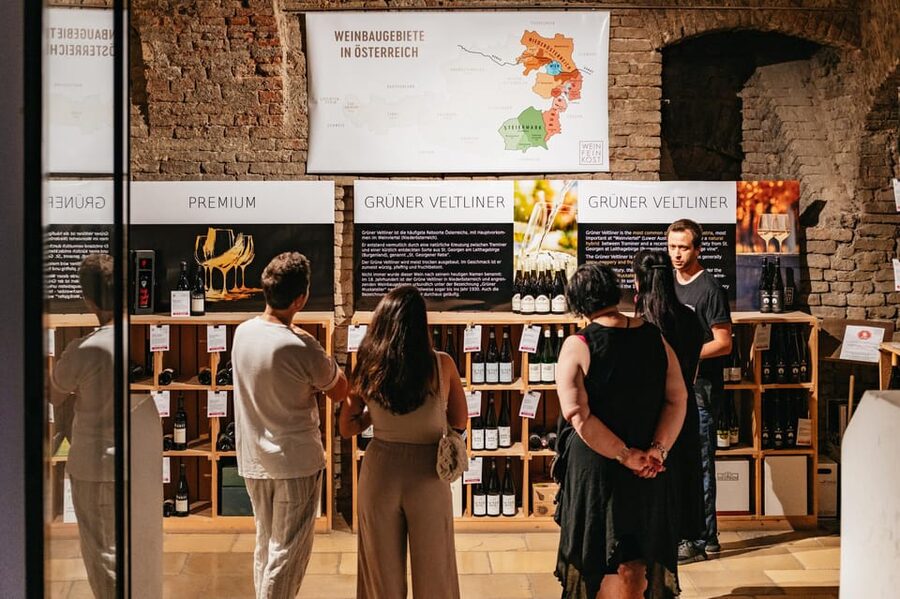 Vienna: Wine Tasting Experience in a Private Wine Cellar - What the cellar experience is really like