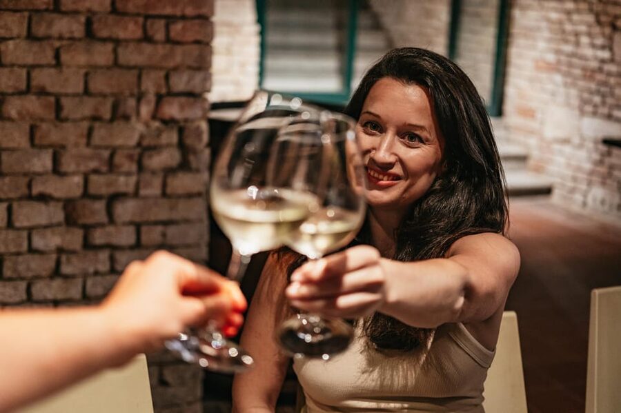 Vienna: Wine Tasting Experience in a Private Wine Cellar - Who should book this Vienna tasting?