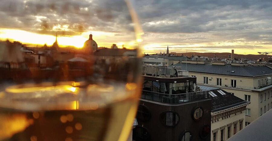 Vienna: Wine Tasting Tour - A private cellar and Austrian Riesling