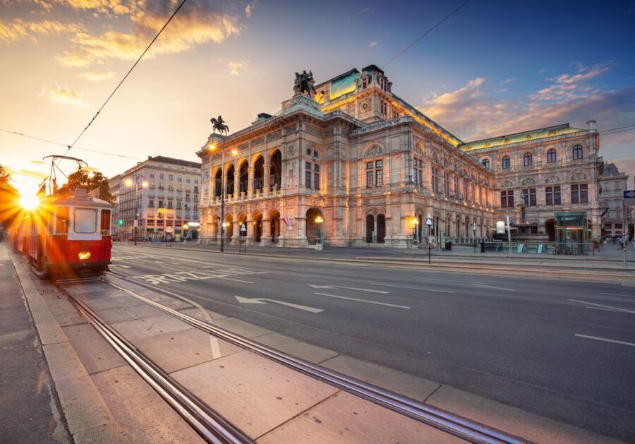 Vienna: Winery and Wine Tasting Tour with a Wine Expert - Key points to know