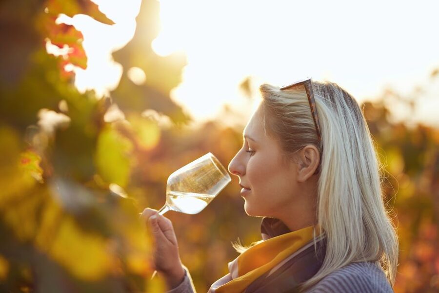 Vienna: Winery and Wine Tasting Tour with a Wine Expert - The three-hour version: wine, food, and central Vienna